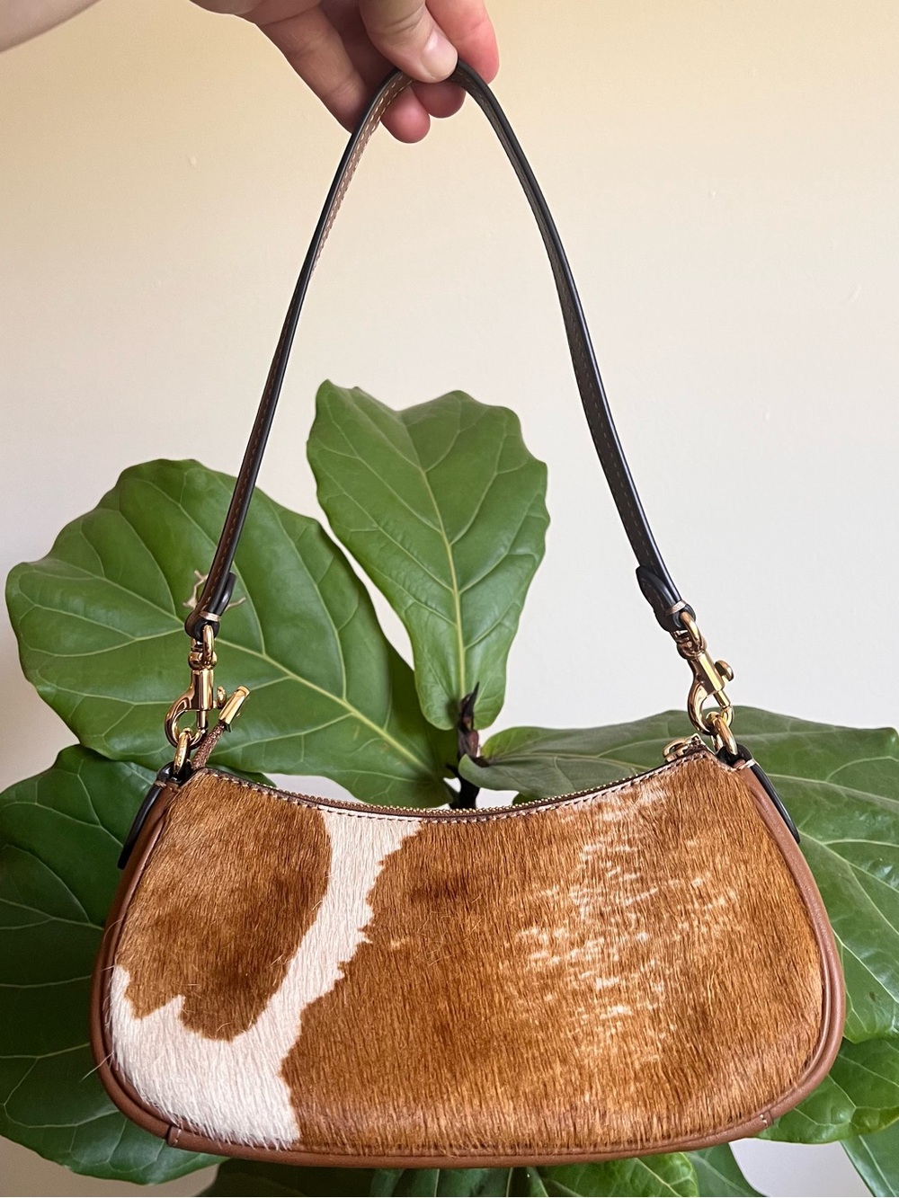 NWT Coach! Ashton Mini Shoulder Bag
In Haircalf With Cow Print - Picture 3 of 10